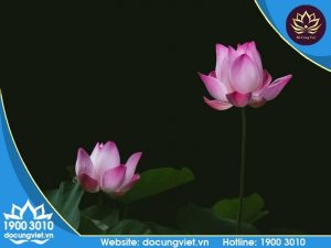 Văn khấn cúng tuần đầu